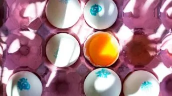 Het perfecte ei op verschillende manieren